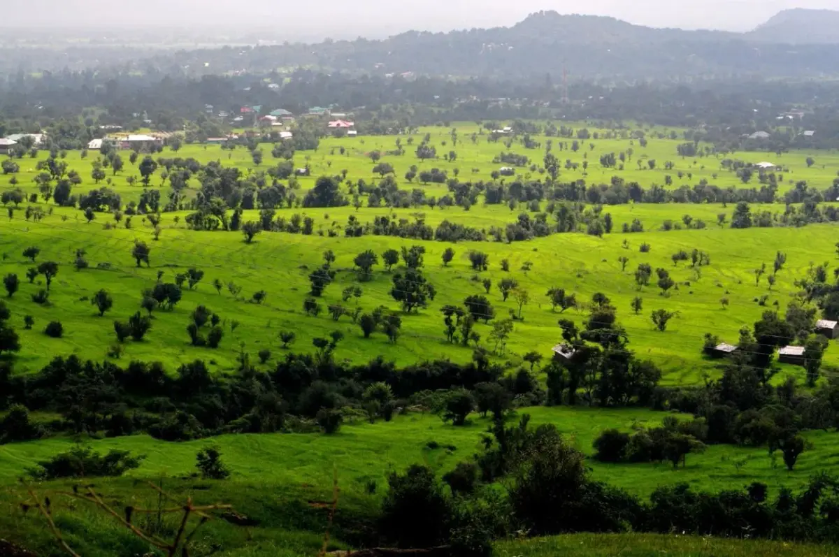 Paisaje verde de Kangra