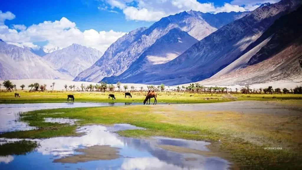 El Valle de Nubra