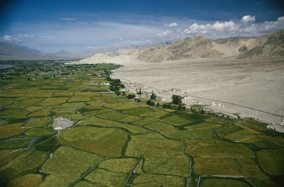 Dunas de arena en el Valle de Nubra