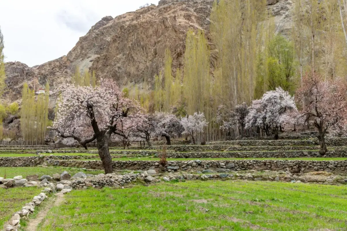 Arquitectura tradicional en Nubra