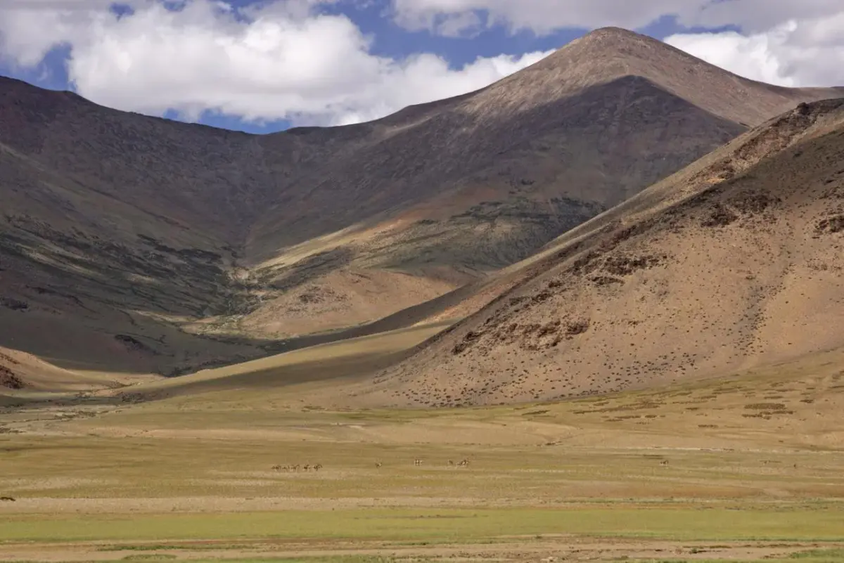 Laderas áridas y fértiles de Nubra