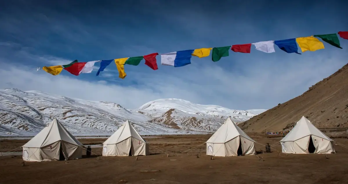 Fauna en el altiplano de Changthang